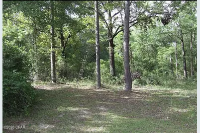 2778 Beall Packing Road, Bonifay, FL 32425 - Photo 11