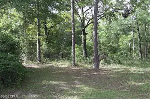 2778 Beall Packing Rd, Bonifay, FL 32425 - Photo 11