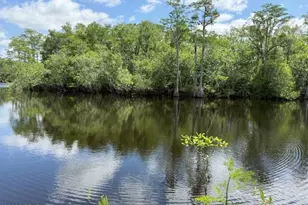 2847 SE Adams St, Kinard, FL 32449 - Photo 31