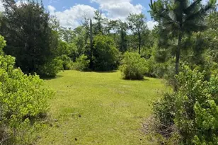 2847 SE Adams St, Kinard, FL 32449 - Photo 27