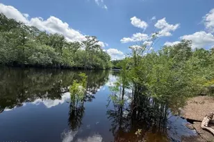 2847 SE Adams St, Kinard, FL 32449 - Photo 41
