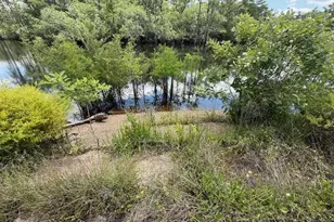 2847 SE Adams St, Kinard, FL 32449 - Photo 35