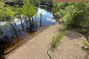 2847 SE Adams St, Kinard, FL 32449 - Photo 39