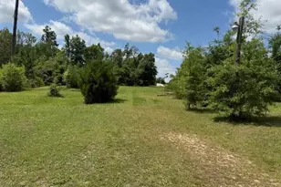 2847 SE Adams St, Kinard, FL 32449 - Photo 41