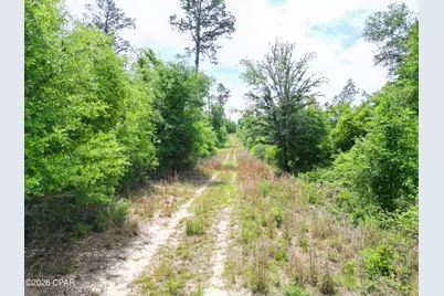 Tbd Pittman Hill Road, Marianna, FL 32448 - Photo 3