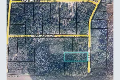 0 E Dixie Drive, Marianna, FL 32448 - Photo 7