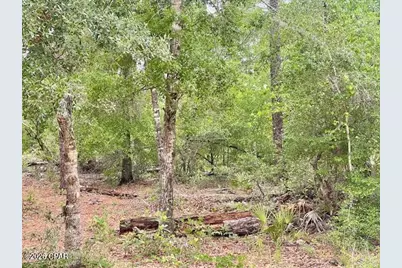 0 E Dixie Drive, Marianna, FL 32448 - Photo 3