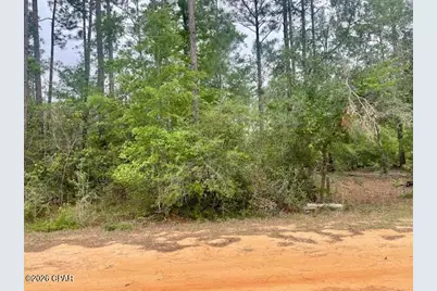 0 E Dixie Drive, Marianna, FL 32448 - Photo 5