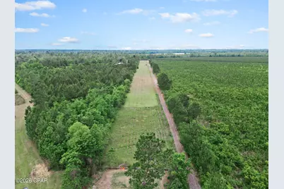 17668 Flatwoods Road, Altha, FL 32421 - Photo 9