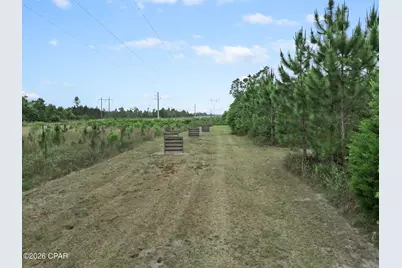 17668 Flatwoods Road, Altha, FL 32421 - Photo 29