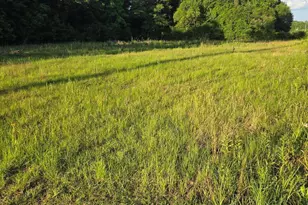 104 N Treadwell Rd, Bonifay, FL 32425 - Photo 1
