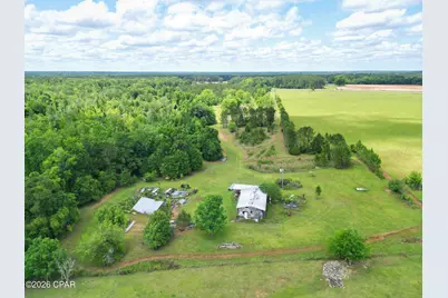 3445 Highway 162, Marianna, FL 32446 - Photo 3