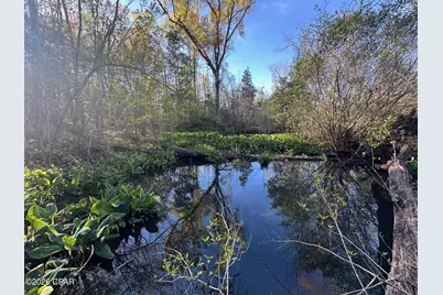 3445 Highway 162, Marianna, FL 32446 - Photo 25