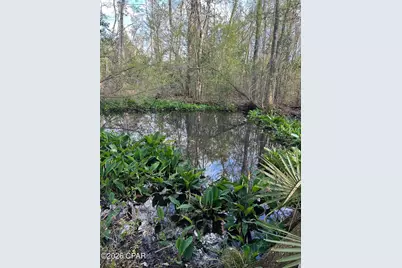 3445 Highway 162, Marianna, FL 32446 - Photo 33