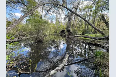 3445 Highway 162, Marianna, FL 32446 - Photo 29