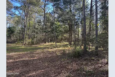3445 Highway 162, Marianna, FL 32446 - Photo 21