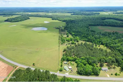 3445 Highway 162, Marianna, FL 32446 - Photo 7