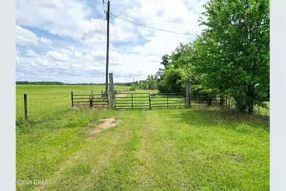 3445 Highway 162, Marianna, FL 32446 - Photo 9
