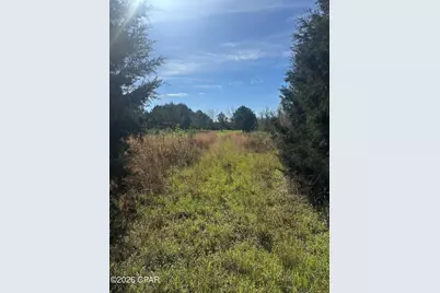 3445 Highway 162, Marianna, FL 32446 - Photo 19