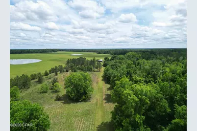 3445 Highway 162, Marianna, FL 32446 - Photo 5