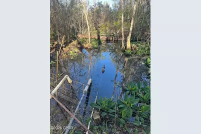 3445 Highway 162, Marianna, FL 32446 - Photo 23