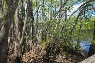 11413 Church Rd, Southport, FL 32437 - Photo 45