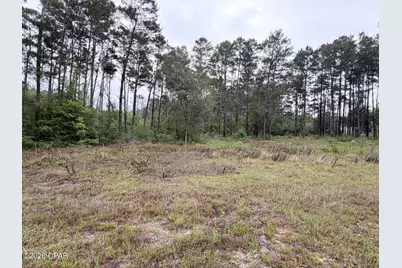 811 Tashanna Lane, Panama City, FL 32409 - Photo 3