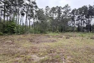 811 Tashanna Ln, Panama City, FL 32409 - Photo 3