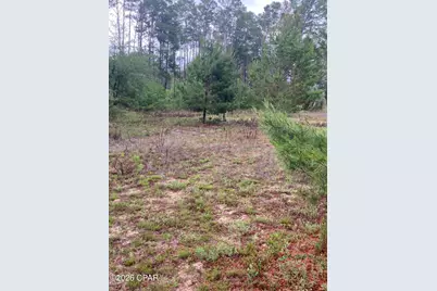 811 Tashanna Lane, Panama City, FL 32409 - Photo 5