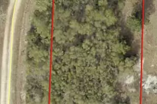 Lot 11 Magnolia St, Fountain, FL 32438 - Photo 3