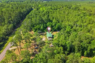 5389 E County Hwy 181, Westville, FL 32464 - Photo 11