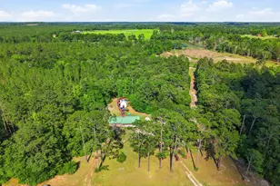 5389 E County Hwy 181, Westville, FL 32464 - Photo 13