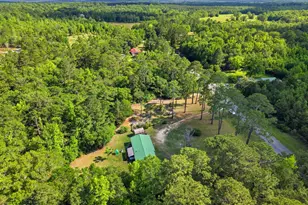 5389 E County Hwy 181, Westville, FL 32464 - Photo 15