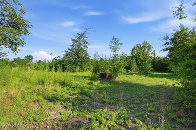 6807 John Pitts Road, Panama City, FL 32404 - Photo 19