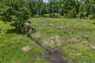 2599 Alton Ln, Chipley, FL 32428 - Photo 43