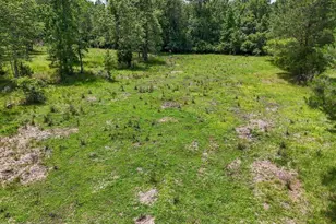 2599 Alton Ln, Chipley, FL 32428 - Photo 45