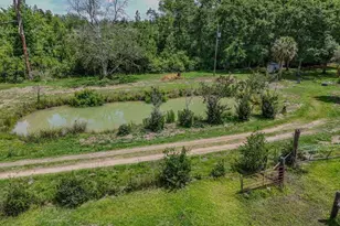 2599 Alton Ln, Chipley, FL 32428 - Photo 13