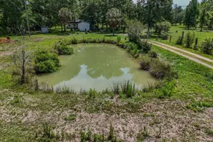 2599 Alton Ln, Chipley, FL 32428 - Photo 11