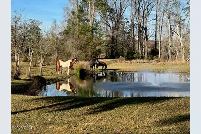 2599 Alton Lane, Chipley, FL 32428 - Photo 5
