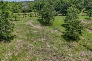 2599 Alton Ln, Chipley, FL 32428 - Photo 35