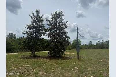 101 Silver Lake Road, Marianna, FL 32448 - Photo 3