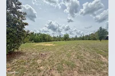 101 Silver Lake Road, Marianna, FL 32448 - Photo 5