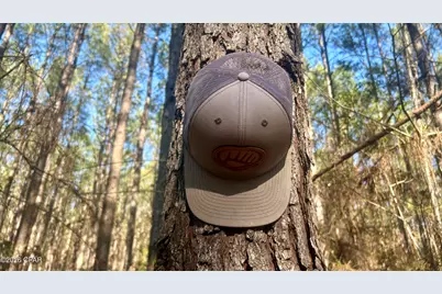 K Grimes Road, Laurel Hill, FL 32567 - Photo 13