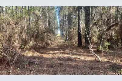 K Grimes Road, Laurel Hill, FL 32567 - Photo 15