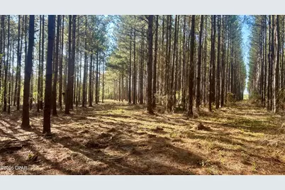 K Grimes Road, Laurel Hill, FL 32567 - Photo 19