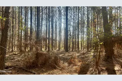 K Grimes Road, Laurel Hill, FL 32567 - Photo 17