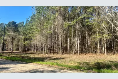 K Grimes Road, Laurel Hill, FL 32567 - Photo 3