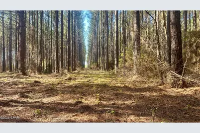 K Grimes Road, Laurel Hill, FL 32567 - Photo 5