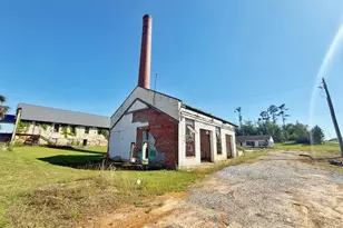 4111 Gov Rick Scott Dr, Marianna, FL 32448 - Photo 1