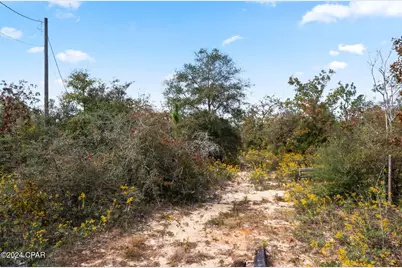 000 Powerline Road, Chipley, FL 32428 - Photo 3